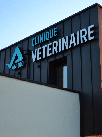 Clinique vétérinaire vet H24